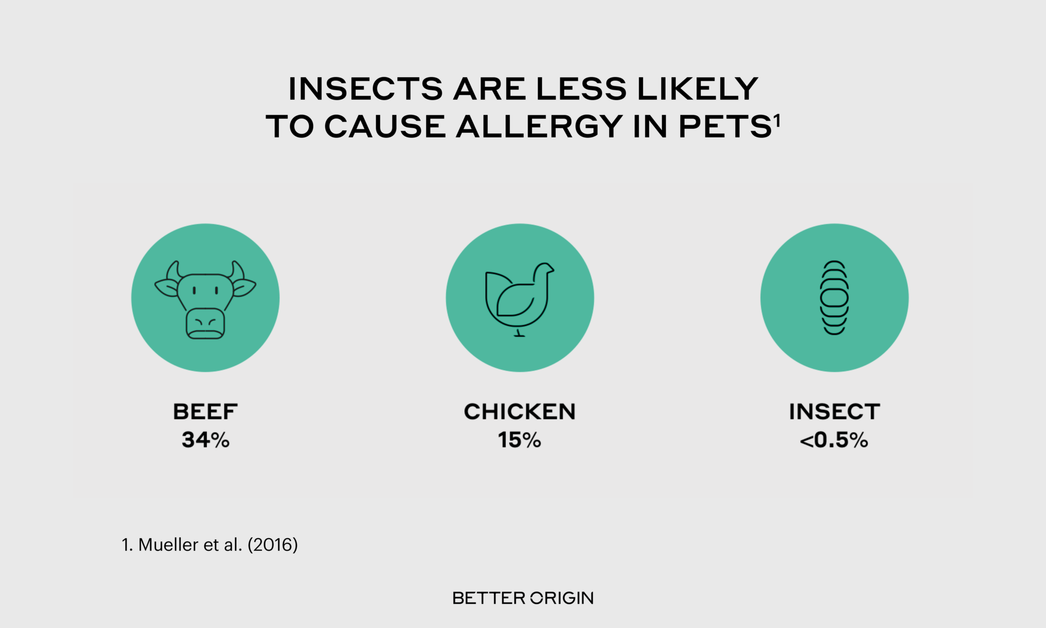 Why our pets should eat insects